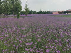 -江苏三台山国家森林公园