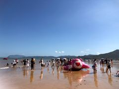 -大京沙滩
