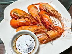 -东鸽皇(奥园·中环广场店)