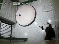 -電力宠物公司(武定路店)