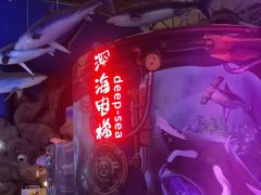 -烟台海昌鲸鲨海洋公园