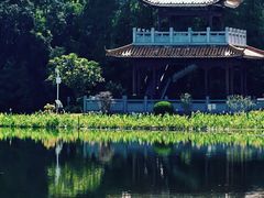 -东山湖公园