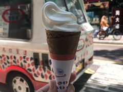 -富豪雪糕车流动点(尖沙咀店)