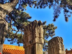 -五台山风景名胜区