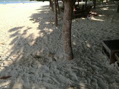 沙滩-三亚亚龙湾天域度假酒店