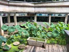 -天怡·鱼工厂(梅溪湖店)