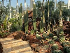 -昆明植物园