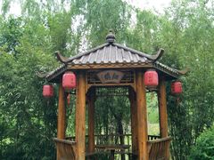 -合肥滨湖国家森林公园