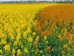 -中国天府农业博览园