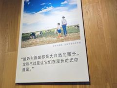 -宝珠奶酪(闵行仲盛店)