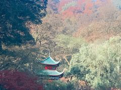 -岳麓山风景名胜区