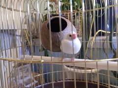 -平行世界·猫咖(首经贸店)