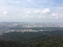 -紫金山山顶公园