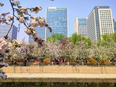 -元大都城垣遗址公园