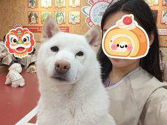 -和它·交个朋友·狗咖猫咖(爱琴海店)