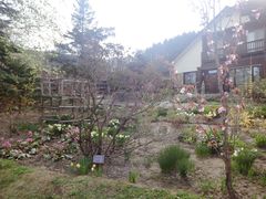 -富田农场