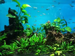 -太平洋海底世界