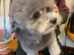 -多卡布奇宠物生活馆(上林世家店)