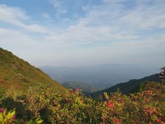 -大围山国家森林公园