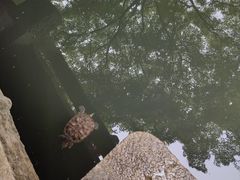 -先蚕祠