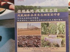 -凤凰湘语(浦东旗舰店)