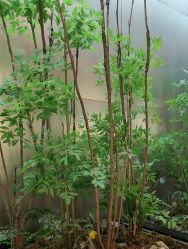 -好友缘酒家·宴会厅(西大店)