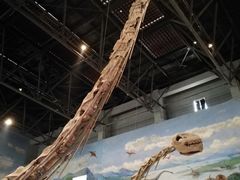 -自贡恐龙博物馆