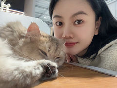 -琪喵猫屋·撸猫猫咖·猫舍