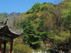 -王顺山国家森林公园