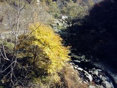 -少华山国家森林公园