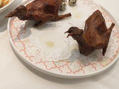 -渔意楼·驰名沙田乳鸽(五羊店)
