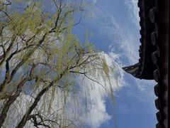 -棠湖公园
