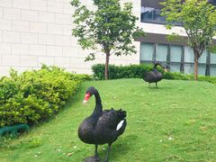 -行者书屋大堂吧 ·下午茶(南京圣和府邸酒店)