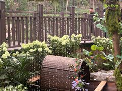 -沂蒙山旅游区云蒙景区(蒙山国家森林公园)