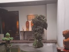 -觀芷隐轩