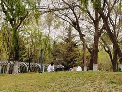 -长白岛森林公园