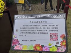 -汇龙潭