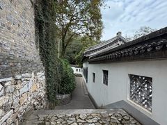 -镇江市南山风景名胜区竹林景区