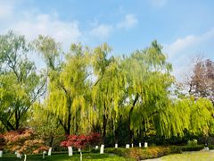 -昆山城市生态森林公园