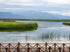 -野鸭湖国家湿地公园