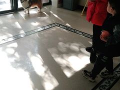 -宠颐生汉谟拉比宠物医院