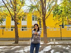 -三里屯东五街银杏大道