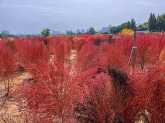 -汉长安城未央宫国家考古遗址公园