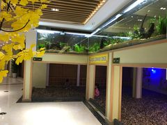 书吧和卵石铺-极乐汇汗蒸会馆(杭州店)