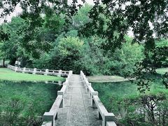 -长广溪湿地公园