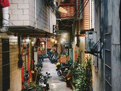 -长洲岛