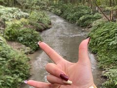 -桤木河湿地公园