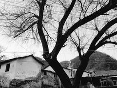 -水峪民俗村
