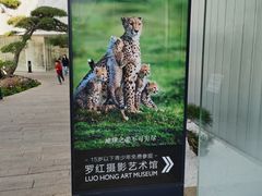 -罗红摄影艺术馆