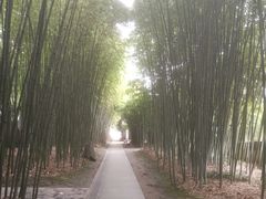 -上海市龙华烈士陵园